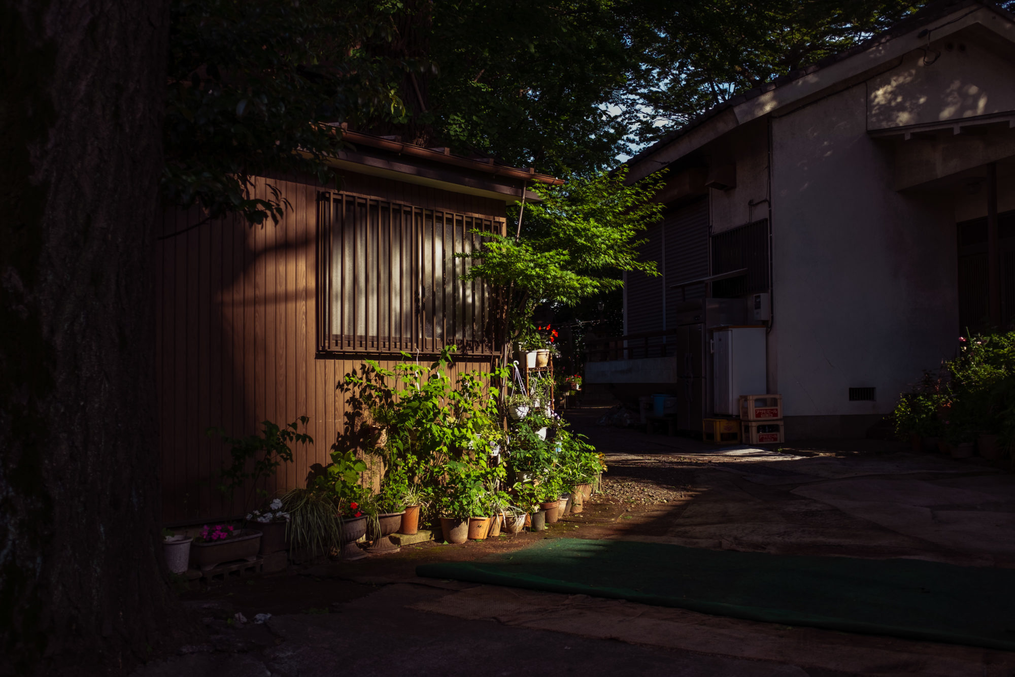 Shanty Town in Tokyo: Daitabashi