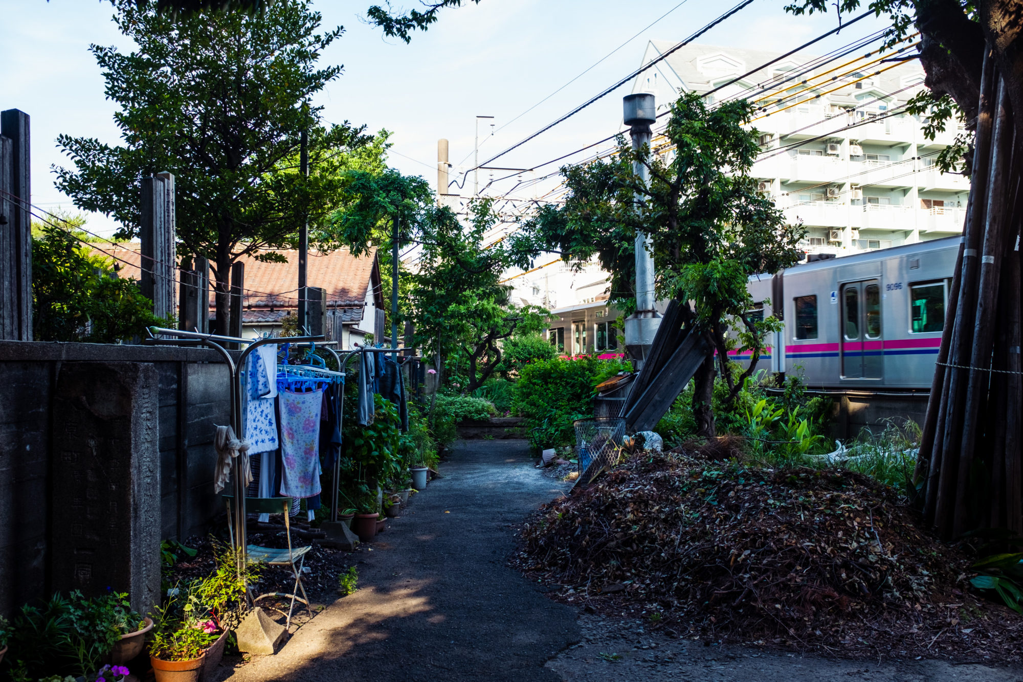 Shanty Town in Tokyo: Daitabashi