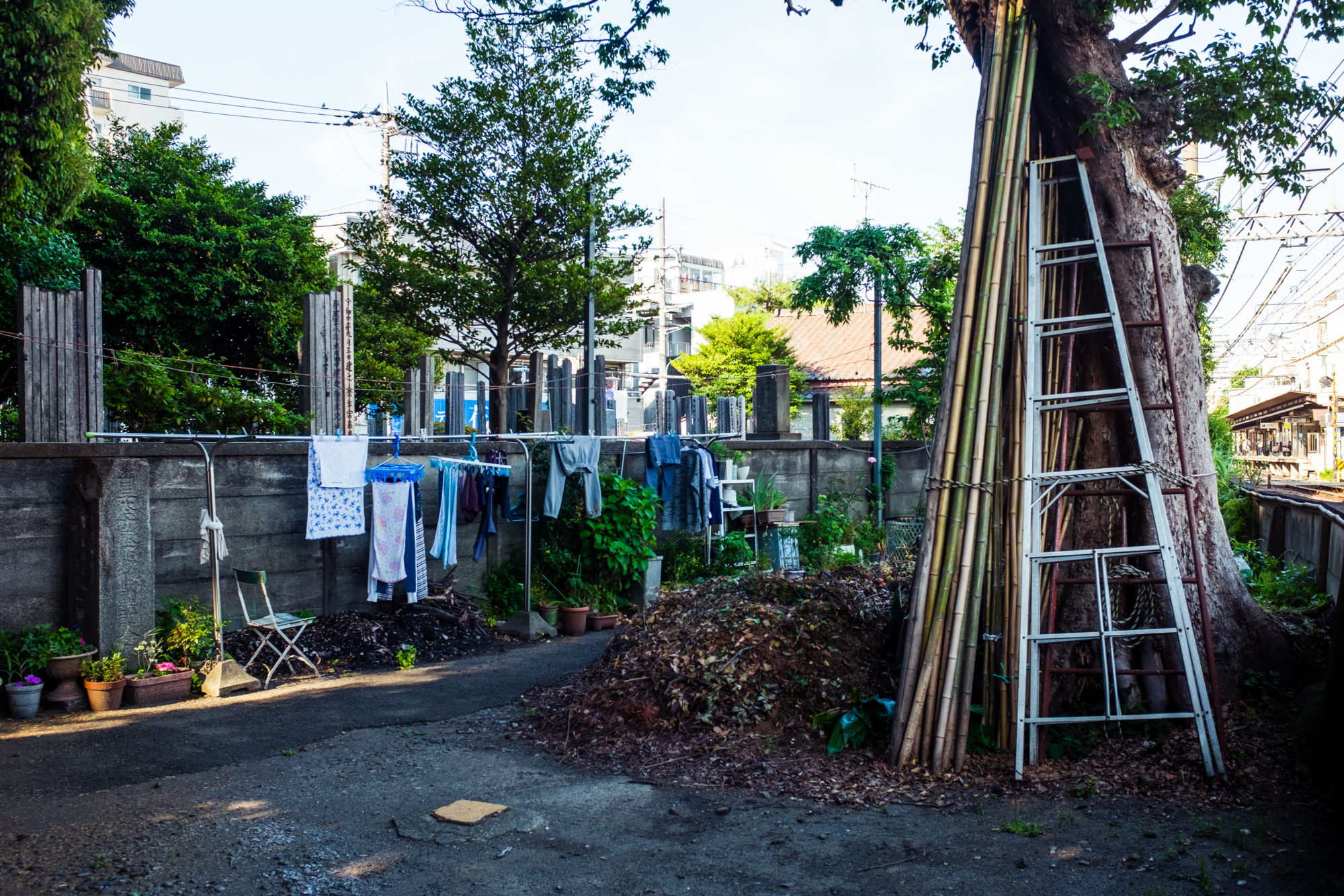 Shanty Town in Tokyo: Daitabashi