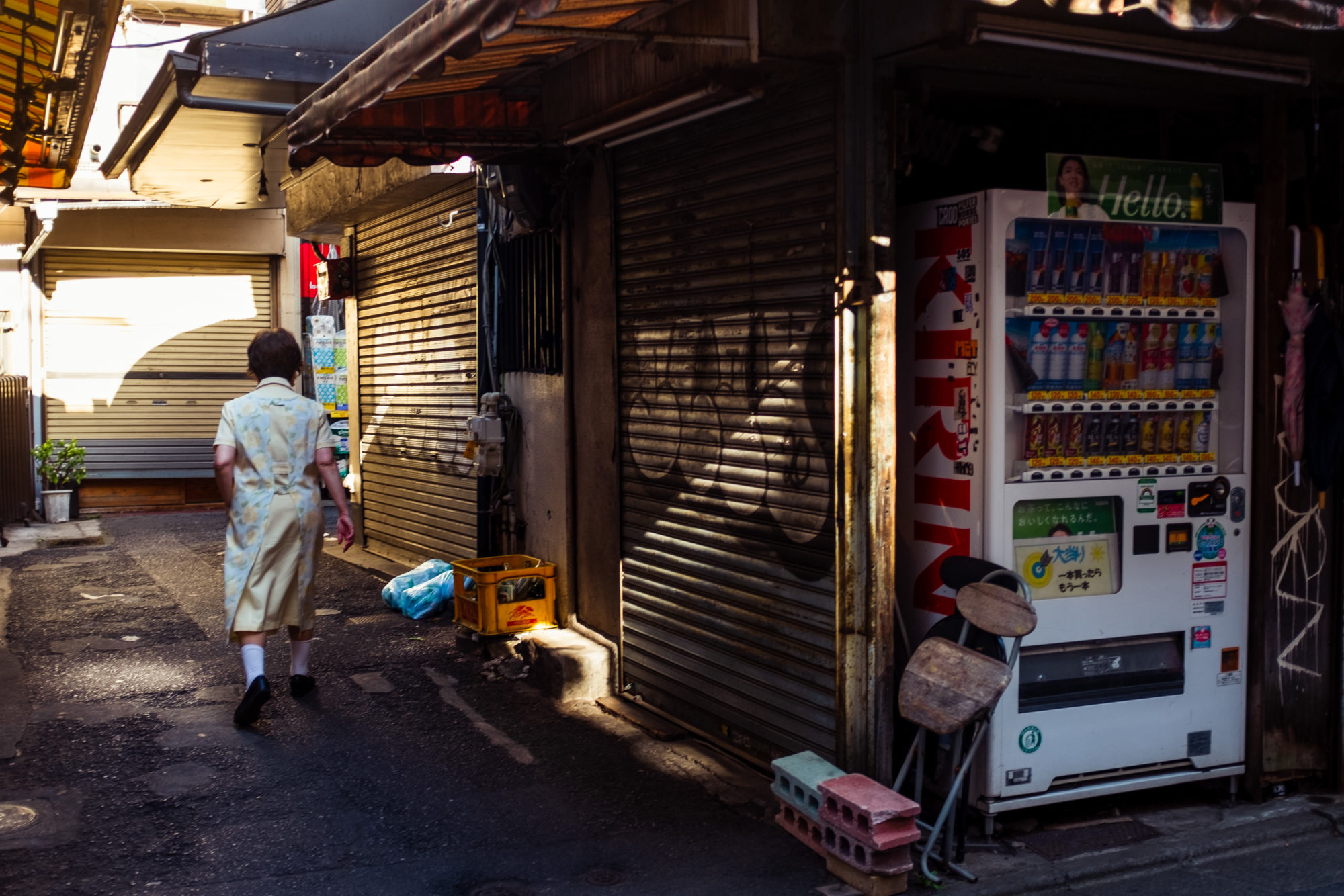 Shanty Town in Tokyo: Daitabashi