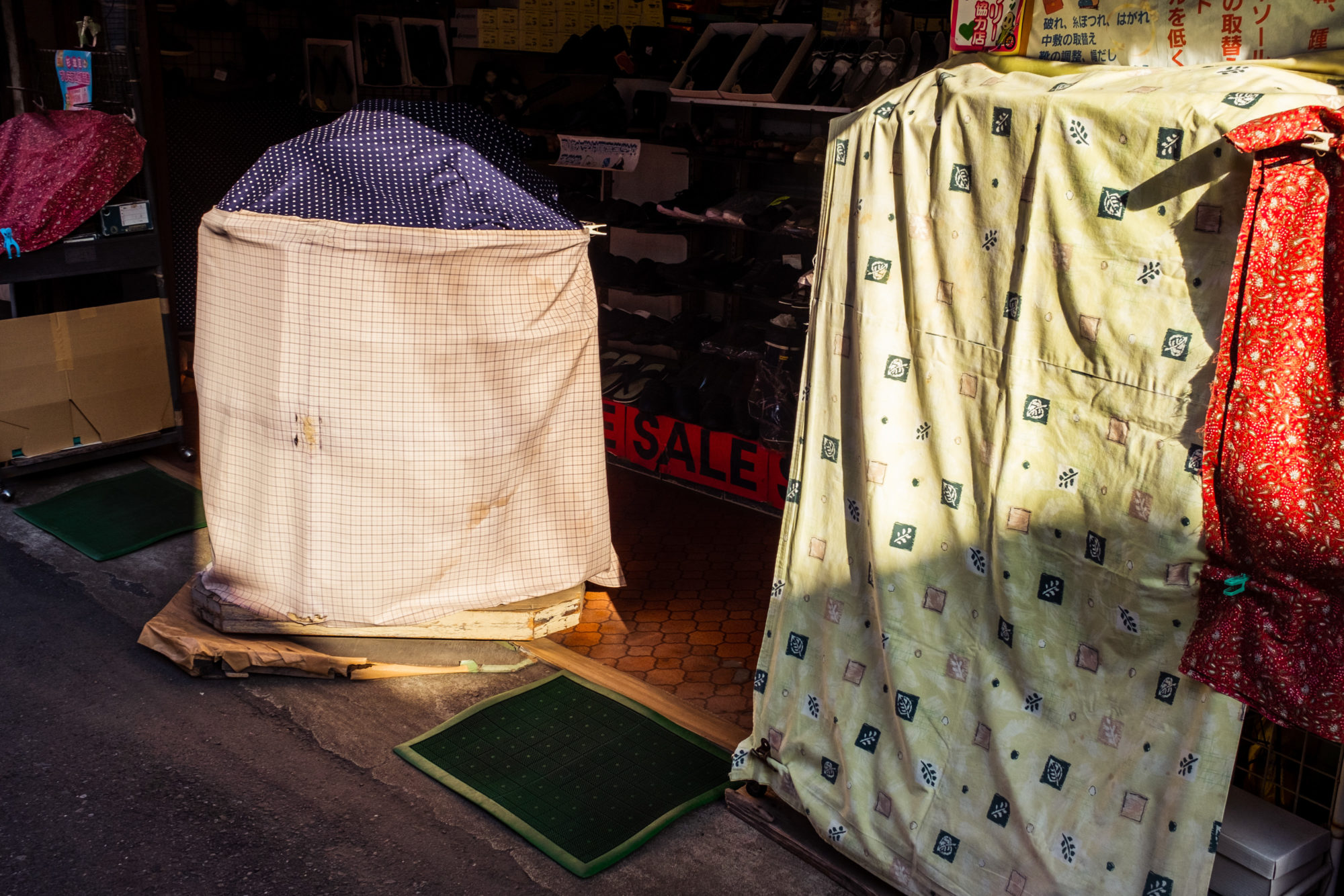 Shanty Town in Tokyo: Daitabashi