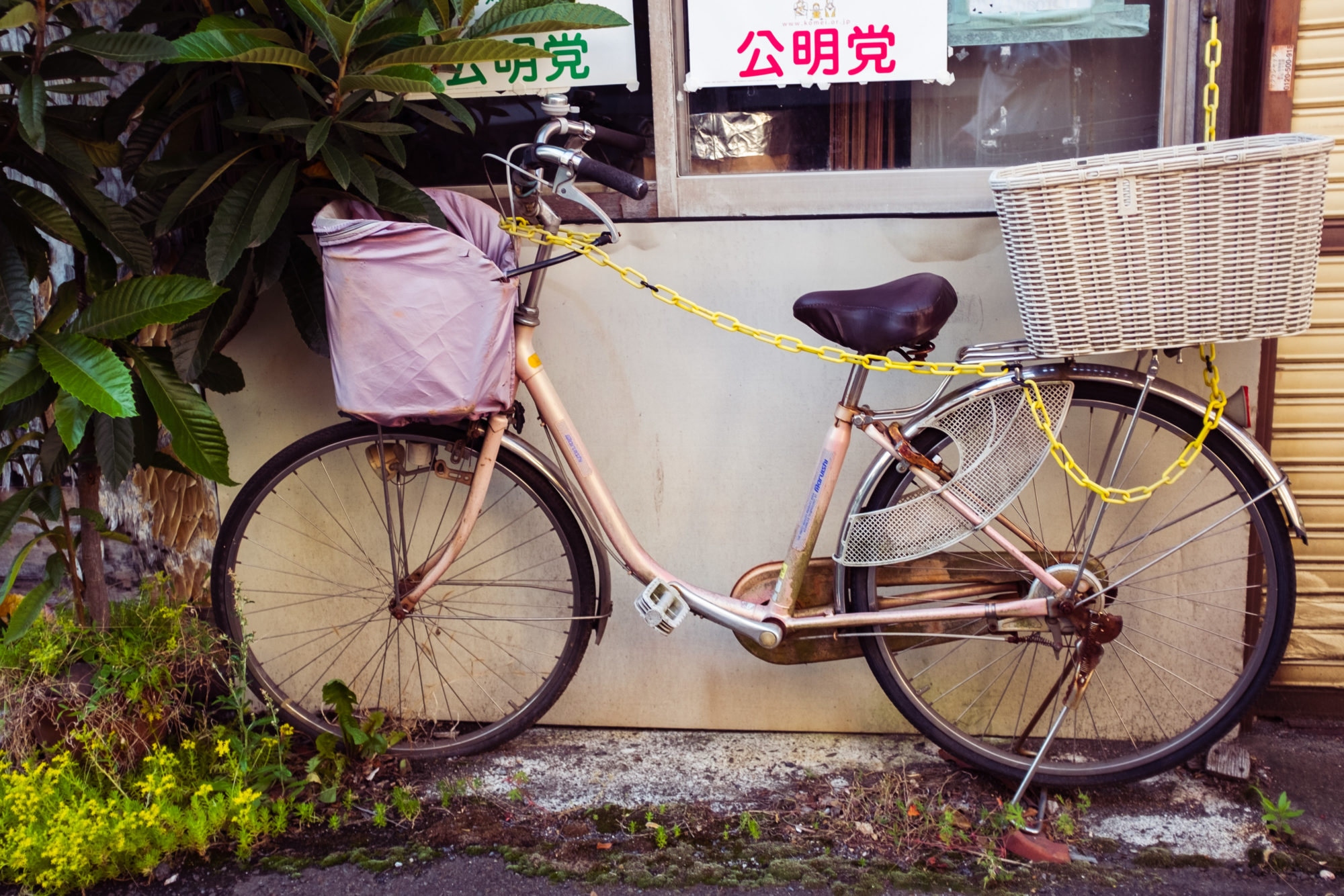 Shanty Town in Tokyo: Daitabashi