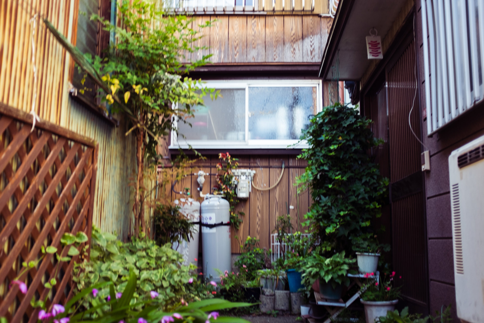 Shanty Town in Tokyo: Daitabashi